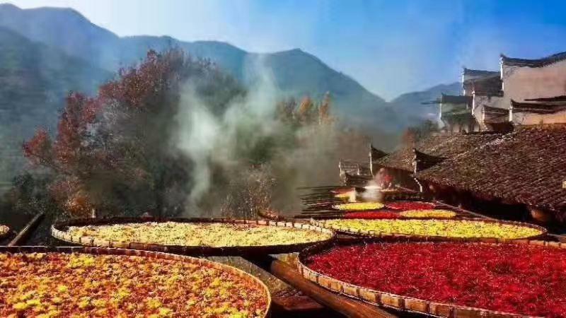 Xishan Wutong Qinyuan Хуаншань Экстерьер фото